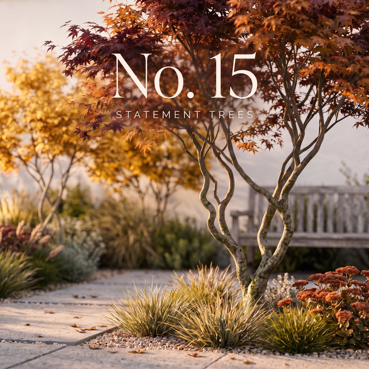 No. 15 Statement Trees