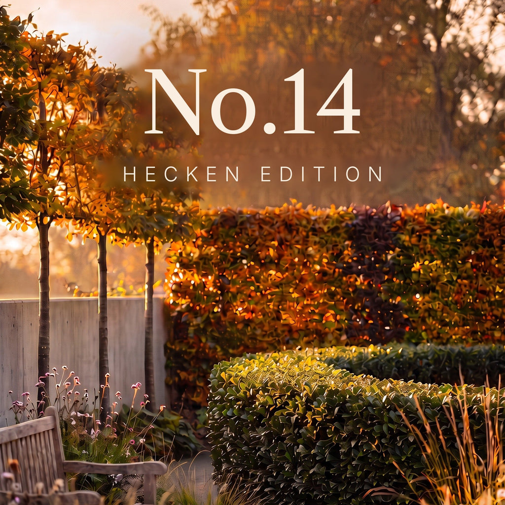 No. 14 Hecken Edition