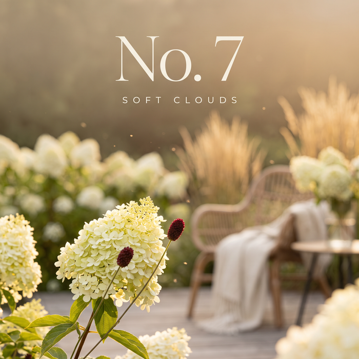No. 7 Soft Clouds
