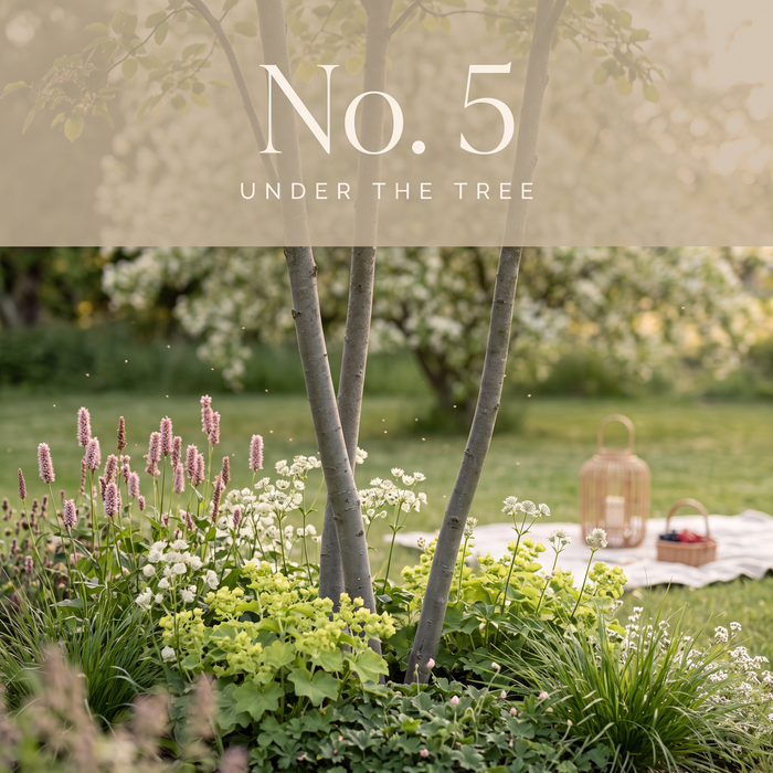 No. 5 Under the Tree